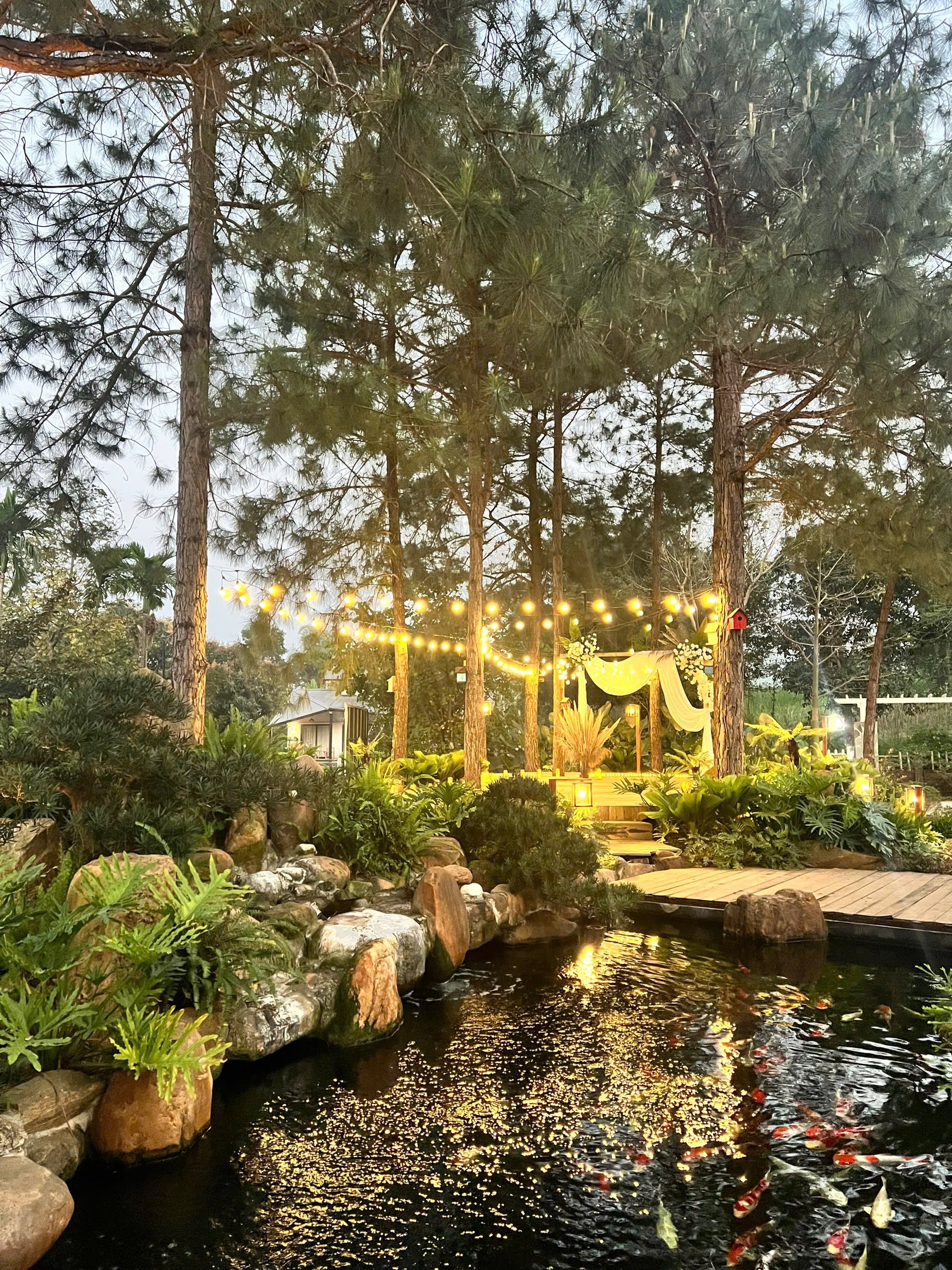 Tổ chức sinh nhật